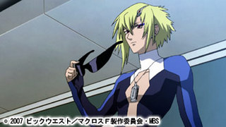4874マクロス.jpg