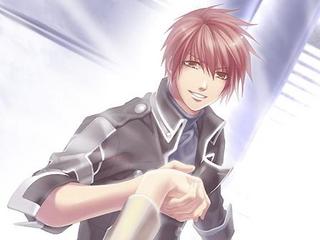 cloverwish,20081109221603658星の降る刻.jpg